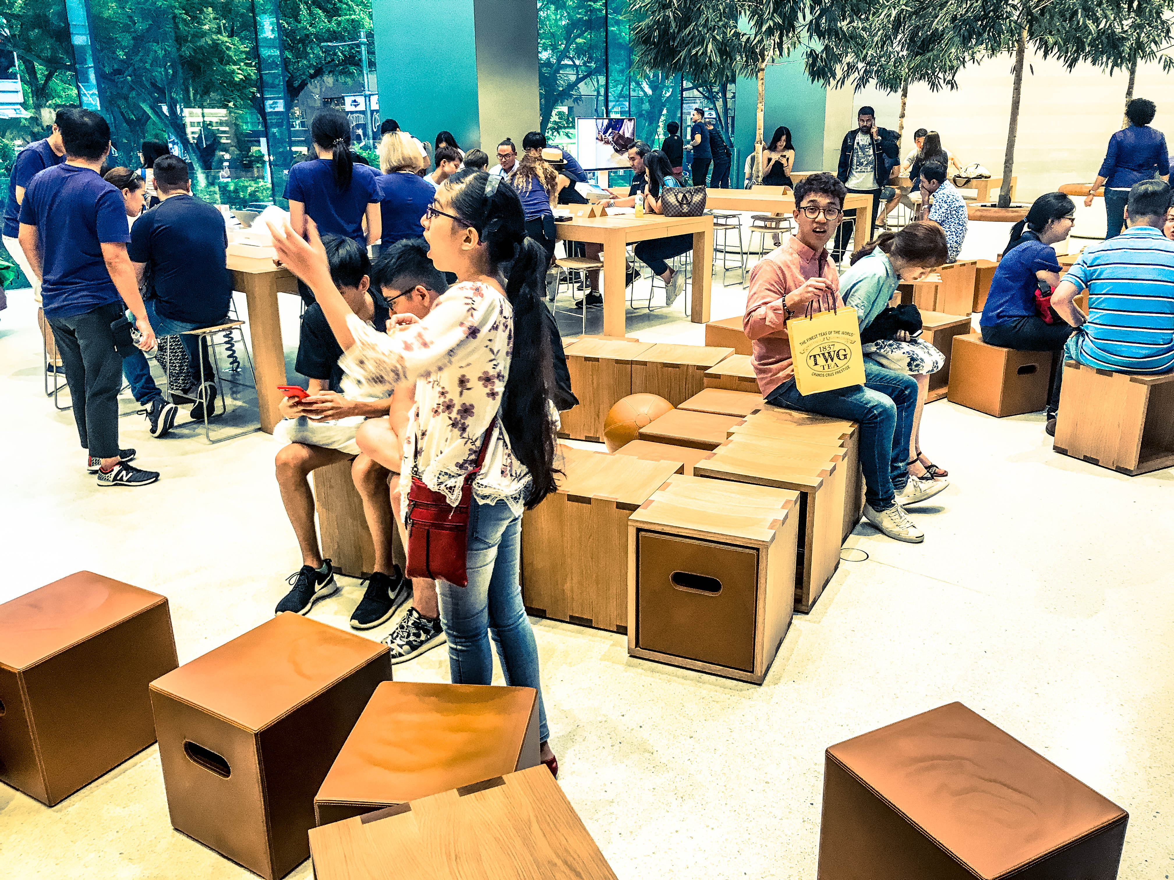 Master Top 100 Vocabulary Words for Pri 5 English Distinction in Singapore, Including ‘Rhyme’, and Elevate Your Writing Skills